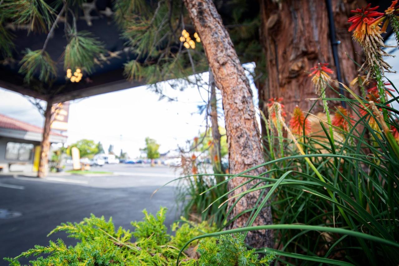 Campfire Hotel Bend Dış mekan fotoğraf